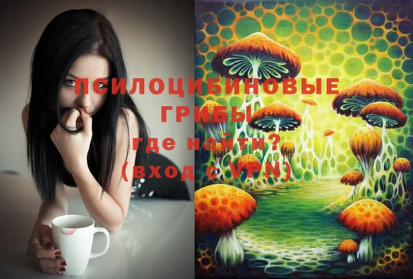 молекула духа Беломорск