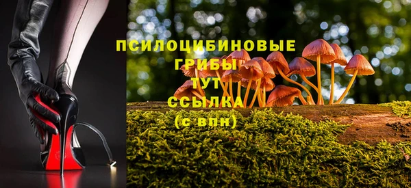 молекула духа Беломорск