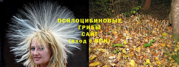 альфа пвп VHQ Белокуриха
